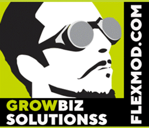 Flexmod.com - Growbiz Solutions