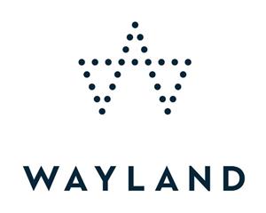 Wayland Group Makes European Waves