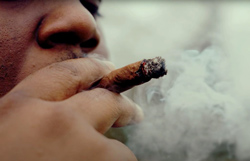 Louisiana Senate Candidate Smokes Blunt in Campaign Ad